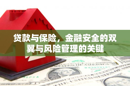 特克斯贷款与保险，金融安全的双翼与风险管理的关键