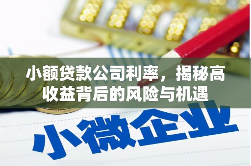 北仑小额贷款公司利率，揭秘高收益背后的风险与机遇