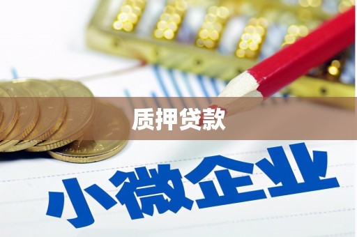 巨野质押贷款