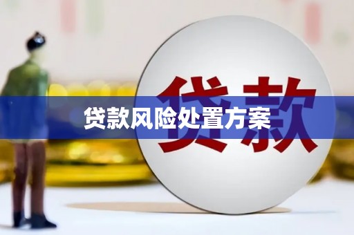 弋阳贷款风险处置方案