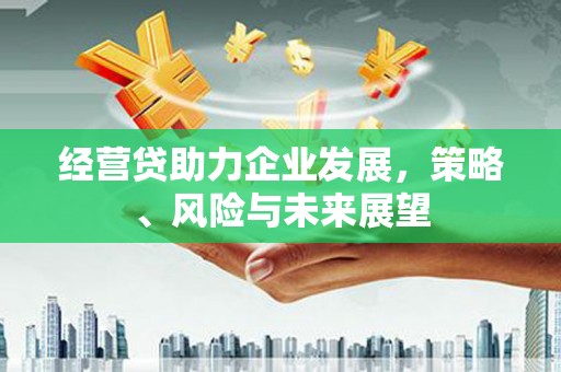 万丹经营贷助力企业发展，策略、风险与未来展望