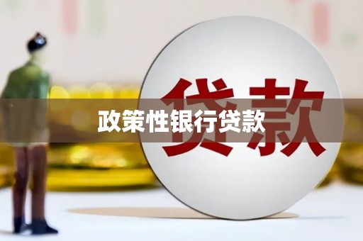 土库政策性银行贷款
