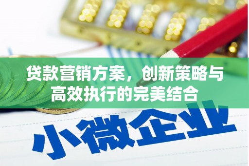 苍南贷款营销方案，创新策略与高效执行的完美结合