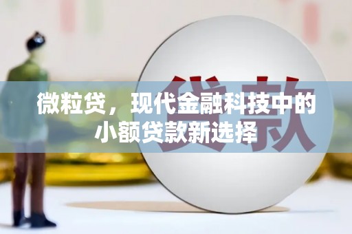 安丘微粒贷，现代金融科技中的小额贷款新选择