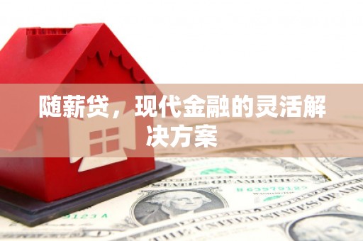 岭东随薪贷，现代金融的灵活解决方案