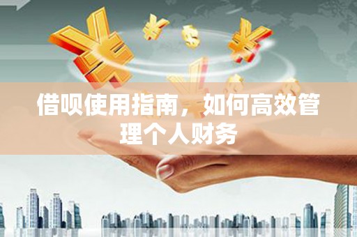贵州借呗使用指南，如何高效管理个人财务