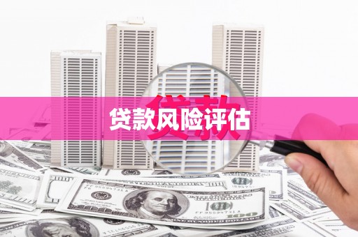 思南贷款风险评估