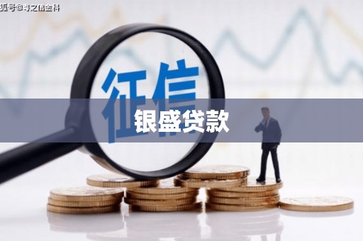 浦东银盛贷款