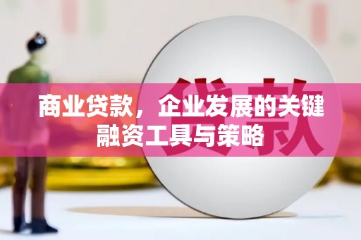 田林商业贷款，企业发展的关键融资工具与策略