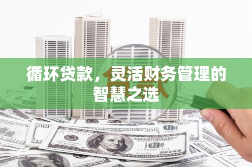 崖州循环贷款，灵活财务管理的智慧之选