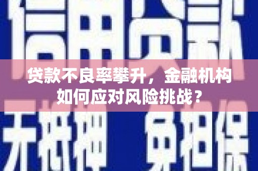 通霄贷款不良率攀升，金融机构如何应对风险挑战？