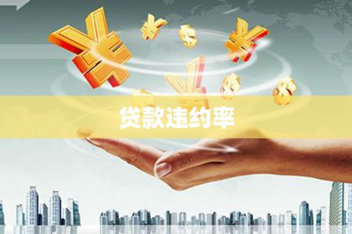 安图贷款违约率