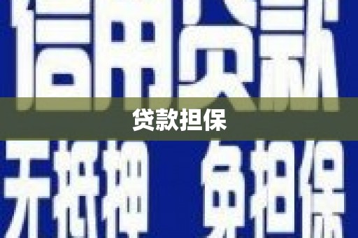 万峦贷款担保