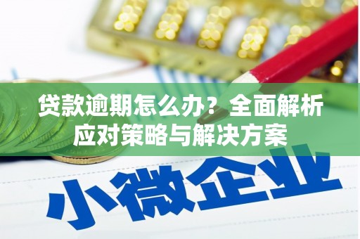 天元贷款逾期怎么办？全面解析应对策略与解决方案