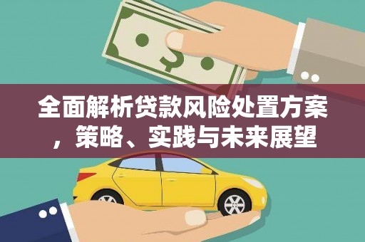 代县全面解析贷款风险处置方案，策略、实践与未来展望