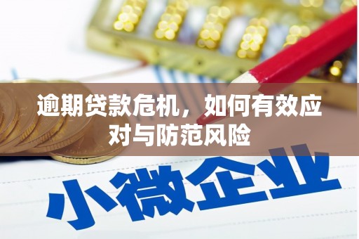 佳木斯逾期贷款危机，如何有效应对与防范风险