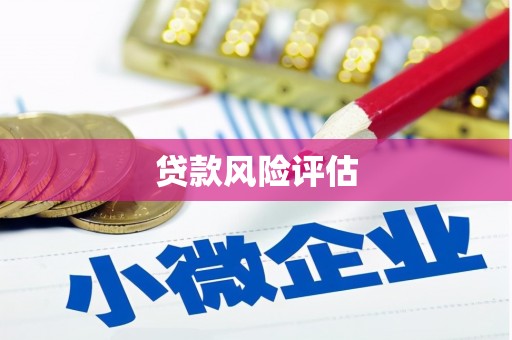 香格里拉贷款风险评估
