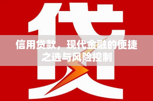 徐汇信用贷款，现代金融的便捷之选与风险控制
