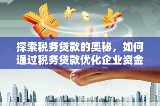 海兴探索税务贷款的奥秘，如何通过税务贷款优化企业资金流