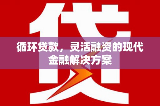东明循环贷款，灵活融资的现代金融解决方案