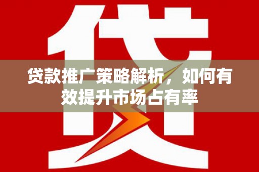 隆回贷款推广策略解析，如何有效提升市场占有率