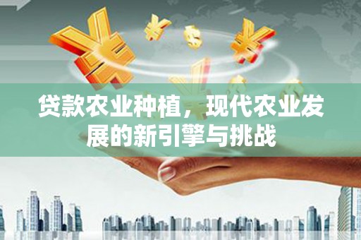 洪雅贷款农业种植，现代农业发展的新引擎与挑战
