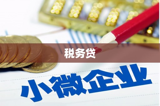 广东税务贷