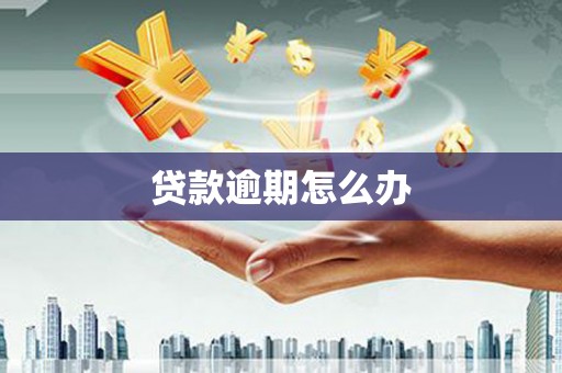 圣安多尼堂区贷款逾期怎么办