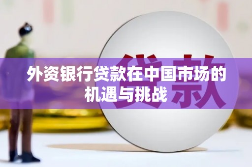 海兴外资银行贷款在中国市场的机遇与挑战