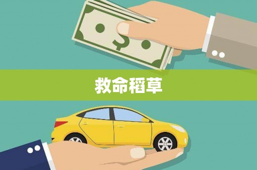 盐埕救命稻草
