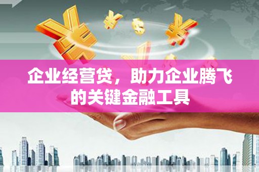乳源企业经营贷，助力企业腾飞的关键金融工具