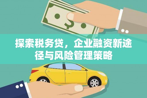 通海探索税务贷，企业融资新途径与风险管理策略