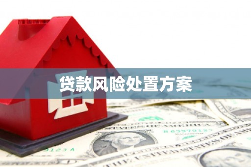 临沭贷款风险处置方案