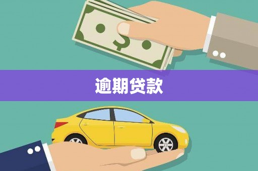 南宫逾期贷款
