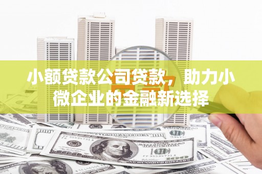 大祥小额贷款公司贷款，助力小微企业的金融新选择