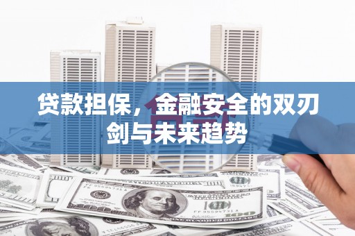 雁江贷款担保，金融安全的双刃剑与未来趋势