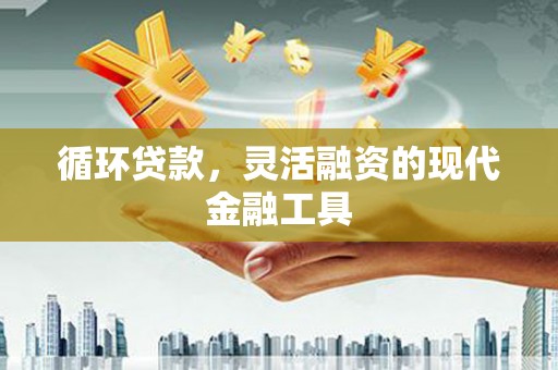龙文循环贷款，灵活融资的现代金融工具