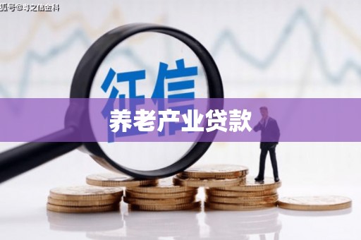 顺庆养老产业贷款