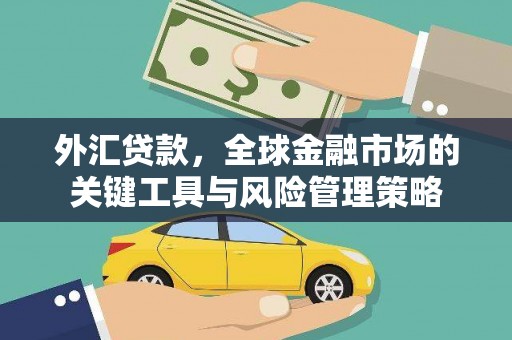 烈山外汇贷款，全球金融市场的关键工具与风险管理策略