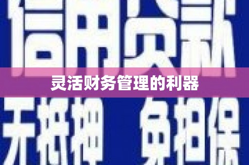 辛集灵活财务管理的利器