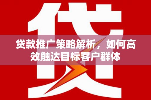 兴宾贷款推广策略解析，如何高效触达目标客户群体