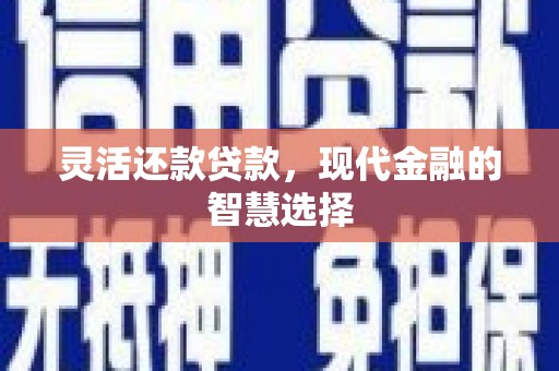 元谋灵活还款贷款，现代金融的智慧选择