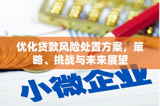 锡林郭勒优化贷款风险处置方案，策略、挑战与未来展望