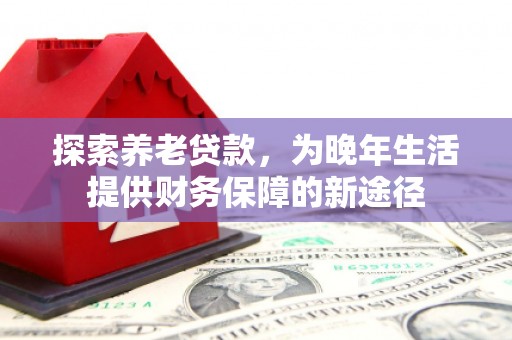 南海探索养老贷款，为晚年生活提供财务保障的新途径