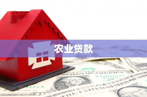 巧家农业贷款