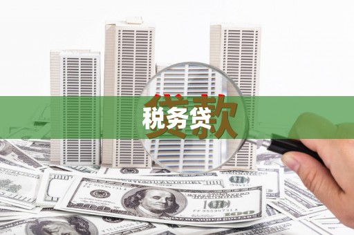 江津税务贷