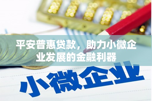 旅顺口平安普惠贷款，助力小微企业发展的金融利器
