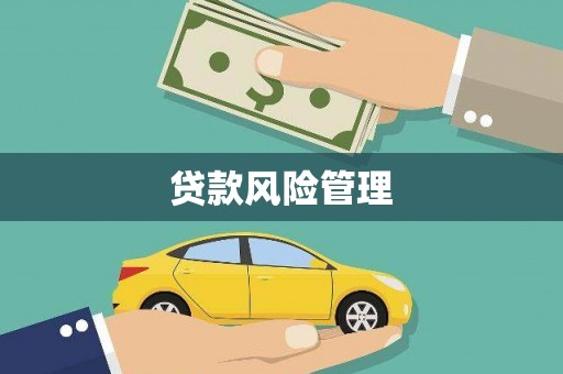 安龙贷款风险管理