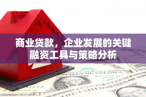顺城商业贷款，企业发展的关键融资工具与策略分析