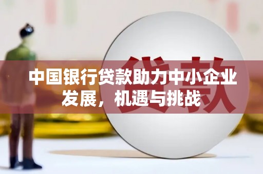 连云中国银行贷款助力中小企业发展，机遇与挑战